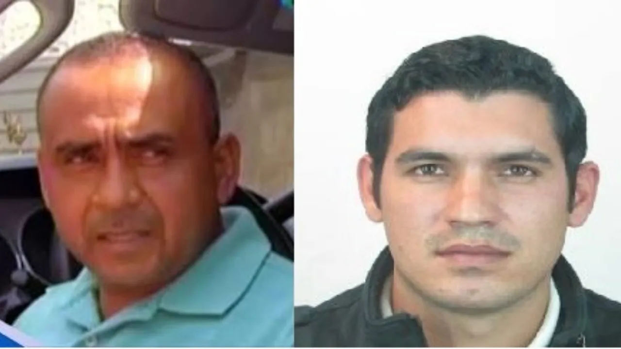 Cártel de Los Reyes: La estructura interna del grupo criminal que opera en Michoacán