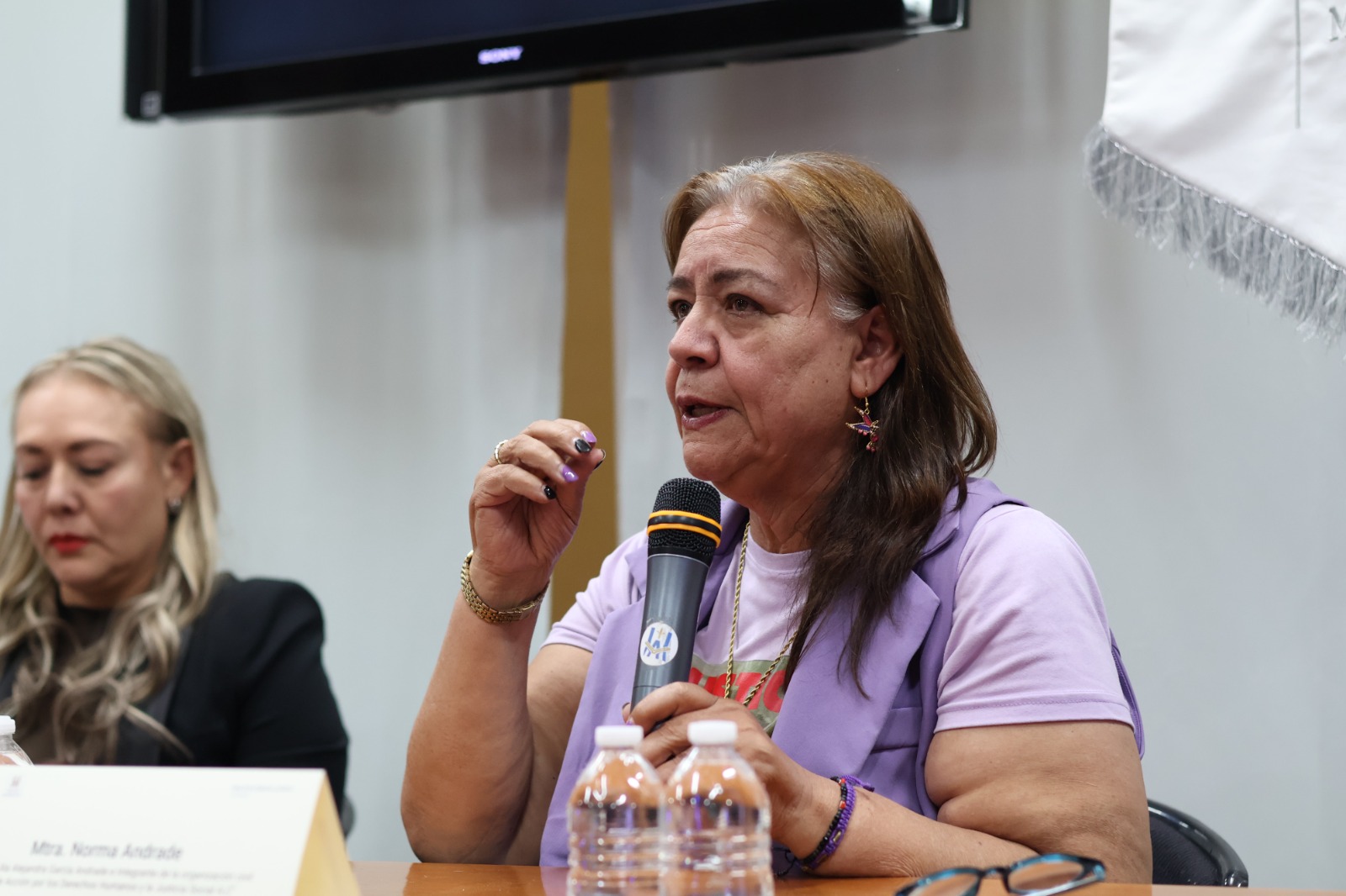 8M, 11 mujeres asesinadas al  día a 17 años del caso Campo Algodonero